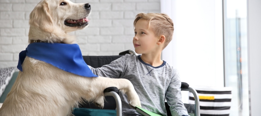 Sedie a rotelle per bambini: cosa sapere Sedie a rotelle per bambini: cosa sapere